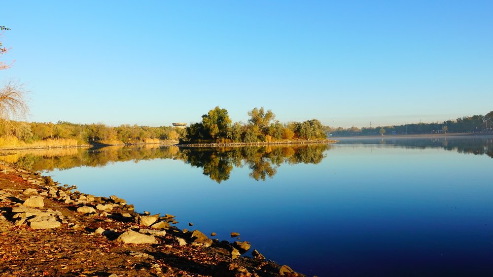 Все оттенки голубого.