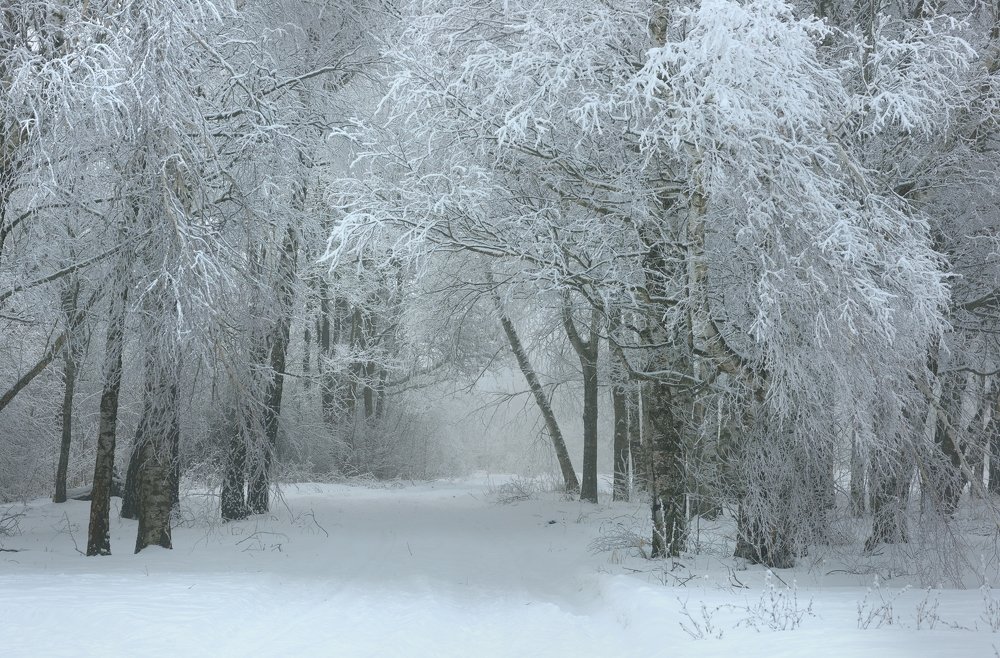 Photograph by Александр Жарников