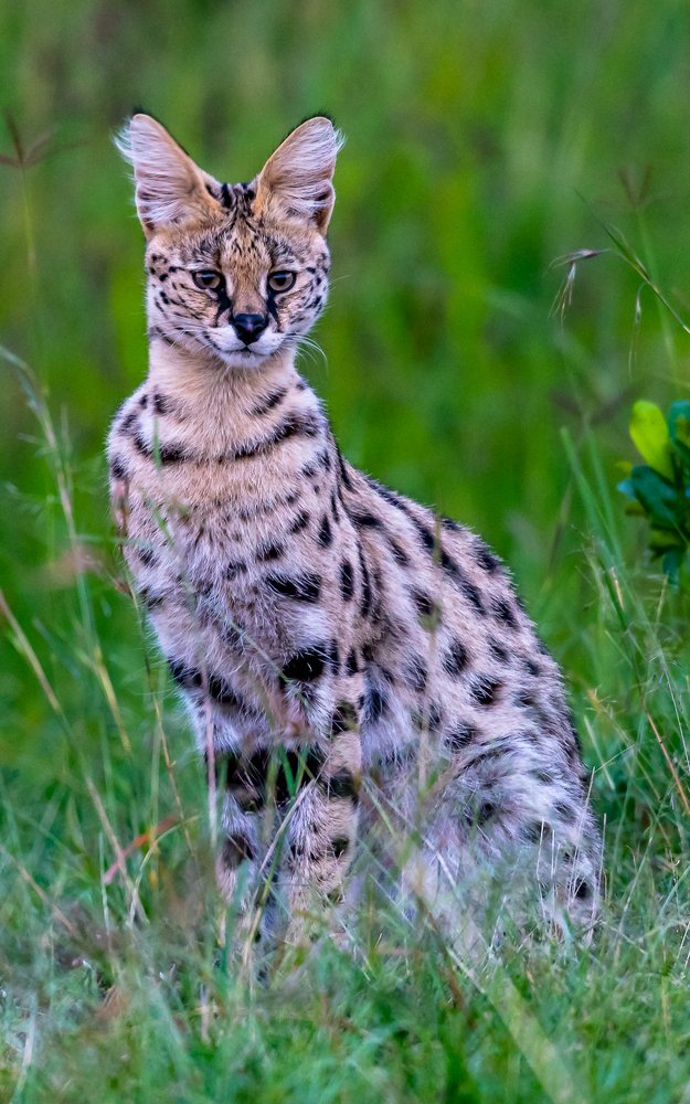 Photograph by Vignesh Ramachandran