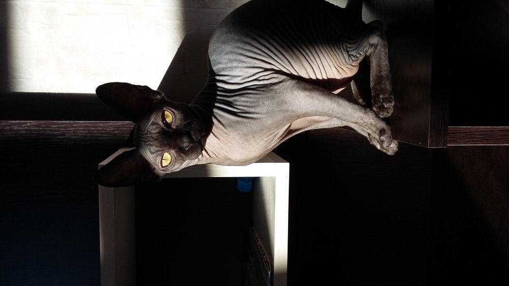 Photograph by Надежда Круглова