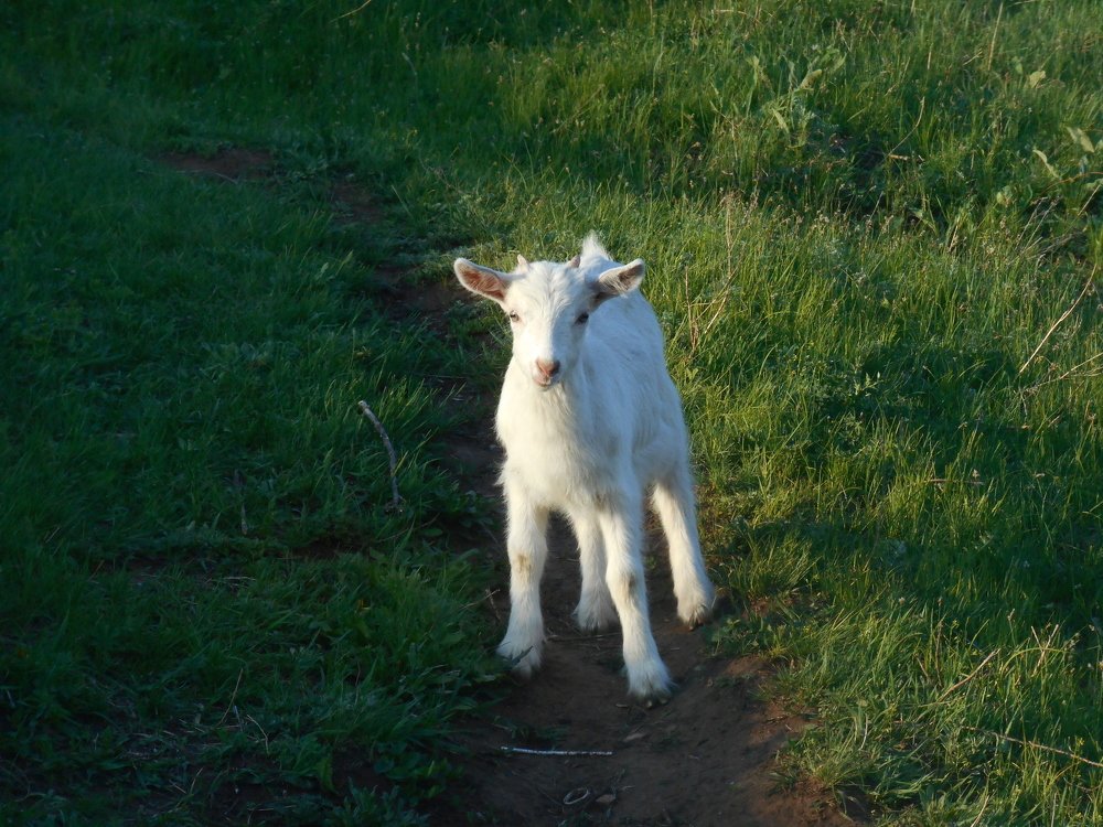 Photograph by Александр Кизим