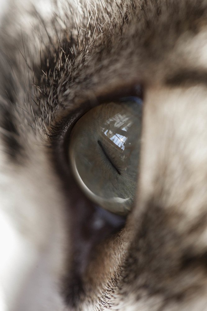 Photograph by Olena Leliuk