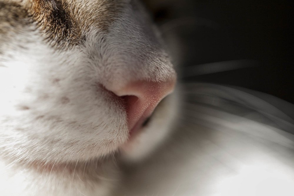 Photograph by Olena Leliuk