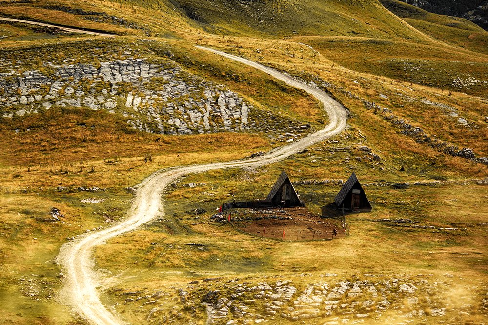 Photograph by Ирина Малина