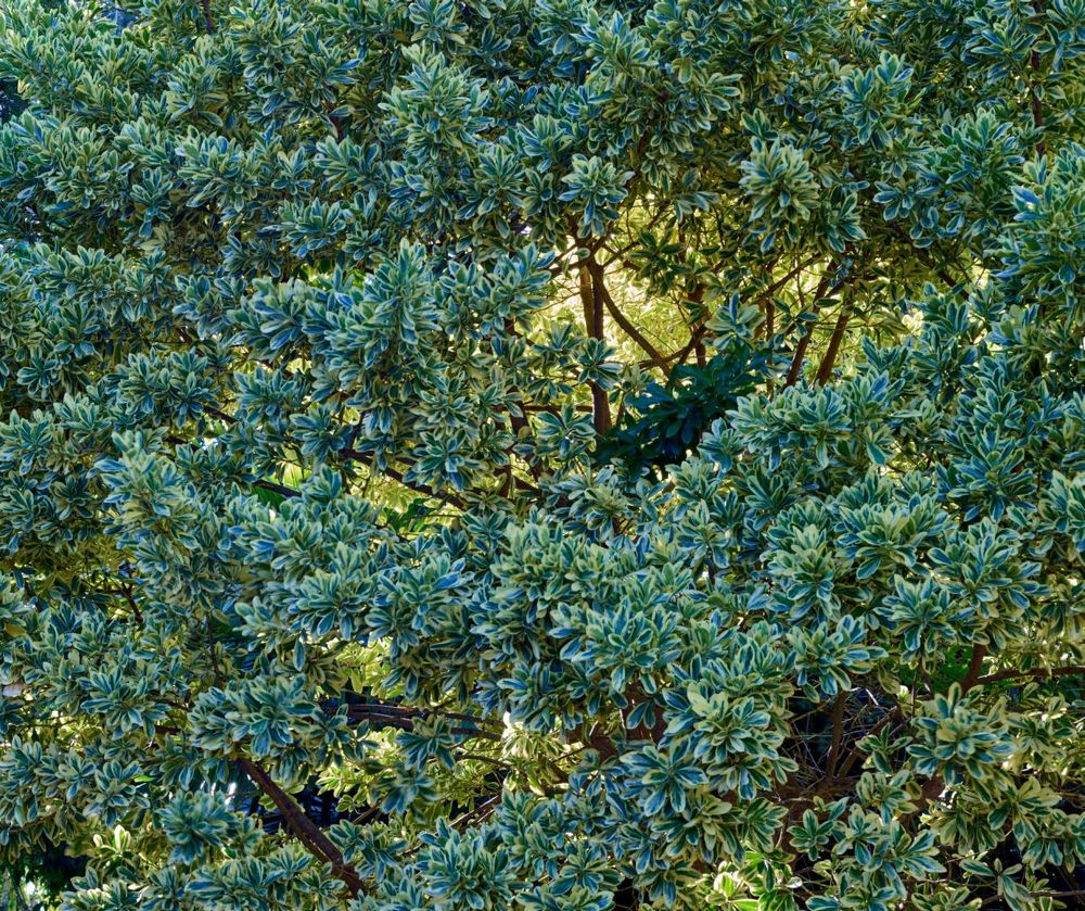 Photograph by Рустем Хайруллин