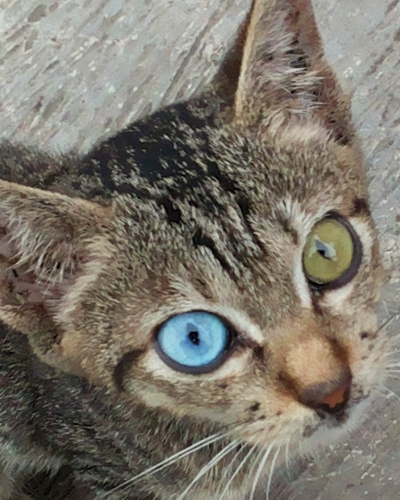 Photograph by  Honest