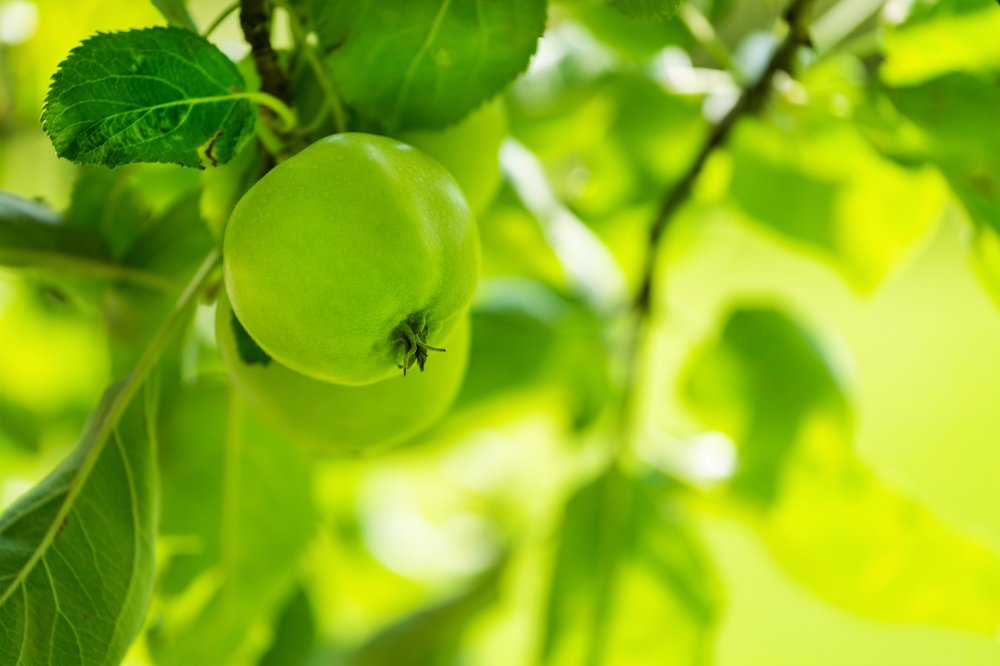 Фотография автора Andrei Hrabun