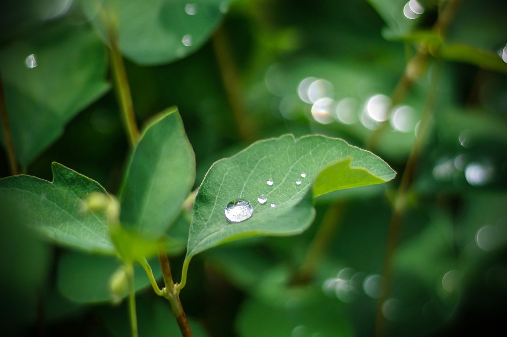 Фотография автора Andrei Hrabun