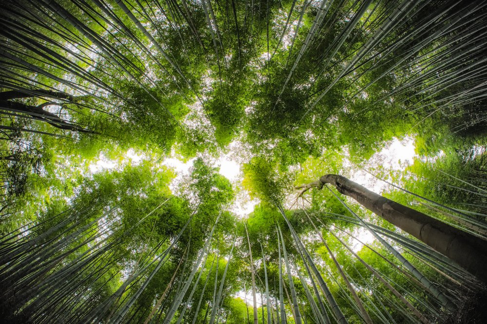 Фотография автора Andrei Hrabun