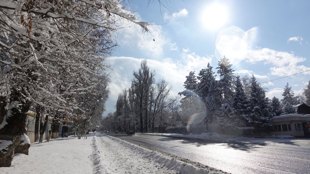 Фотография автора Александр Комаров