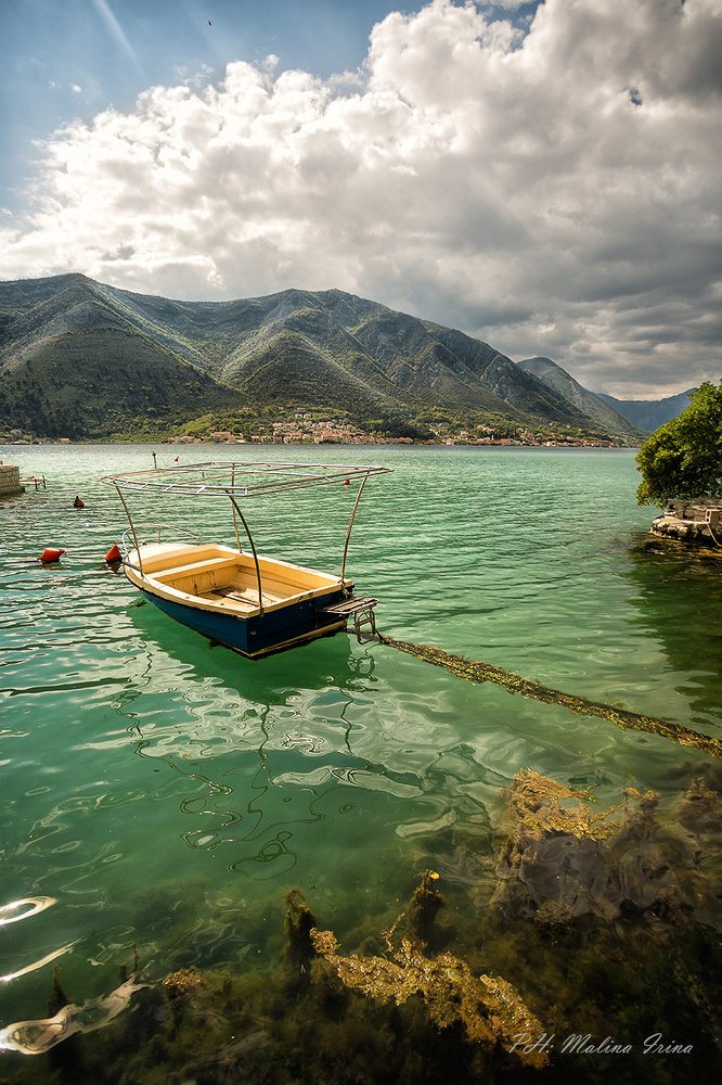 Photograph by Ирина Малина