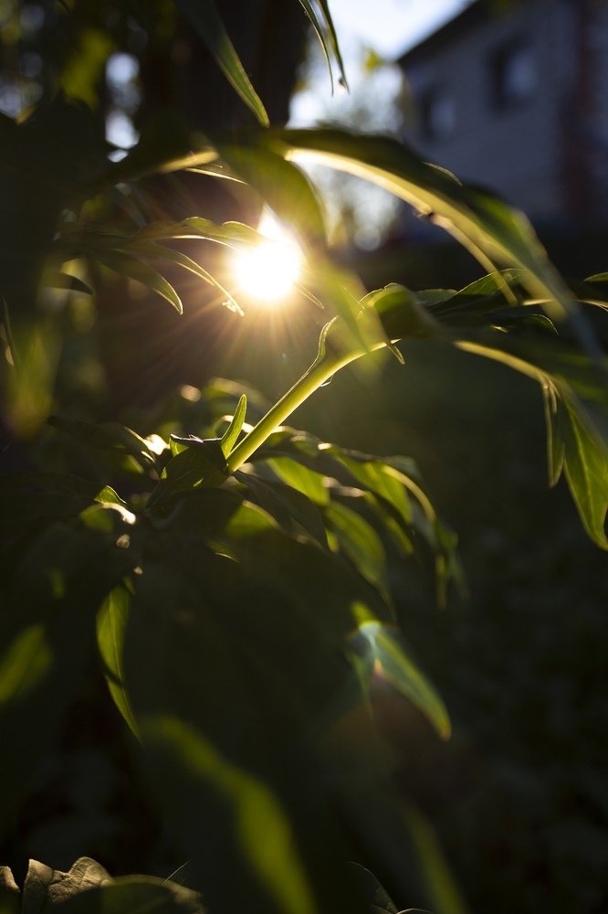 Photograph by Юсупова Елена