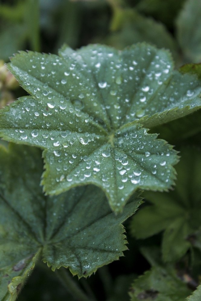 Photograph by Юсупова Елена