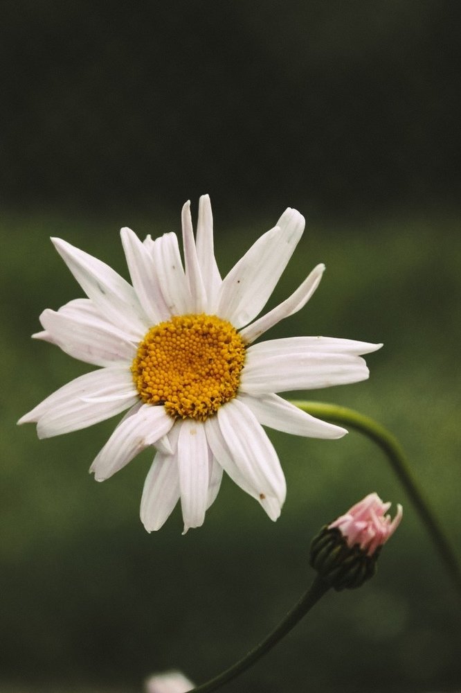 Photograph by Юсупова Елена