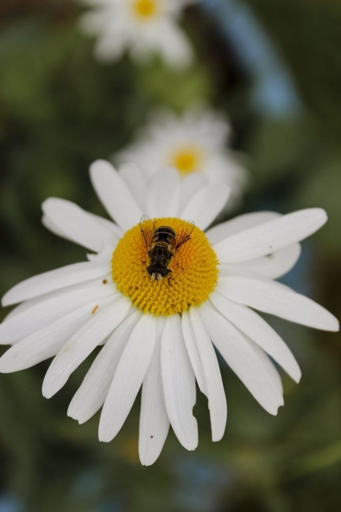 Photograph by Юсупова Елена