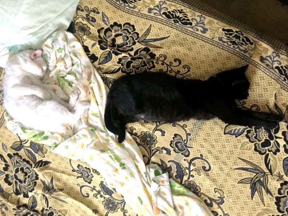 Photograph by Cristian Mirescu