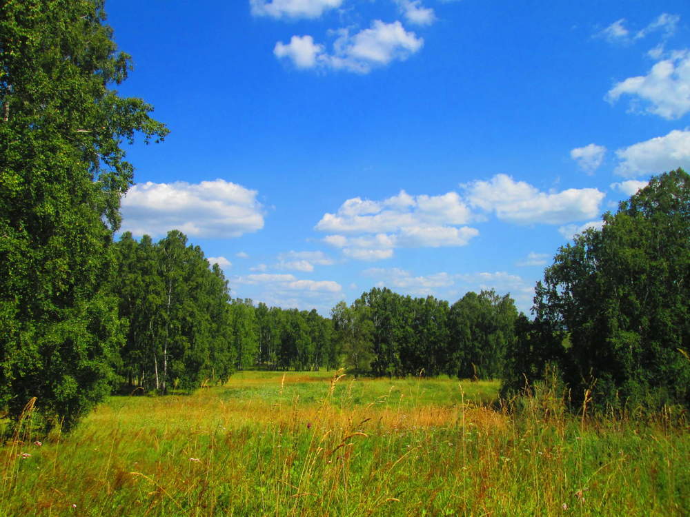 Photograph by Ольга