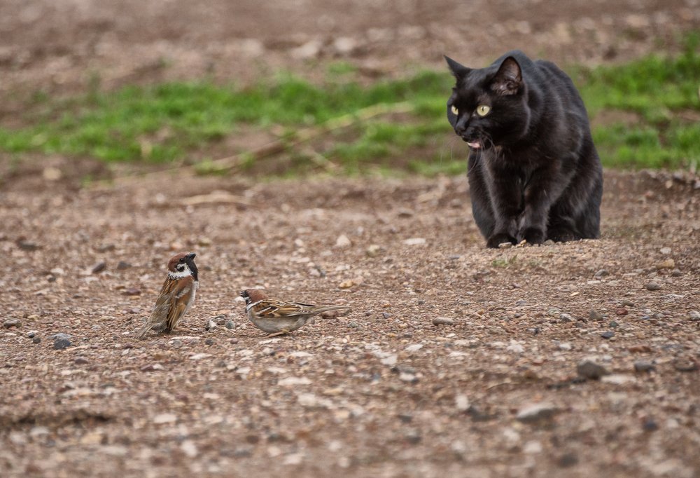 Photograph by Ринат Валиев