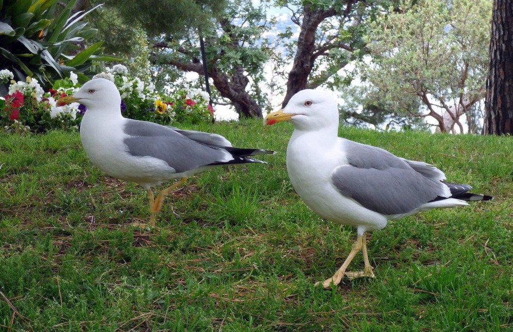 Photograph by Pjotr Alekseev