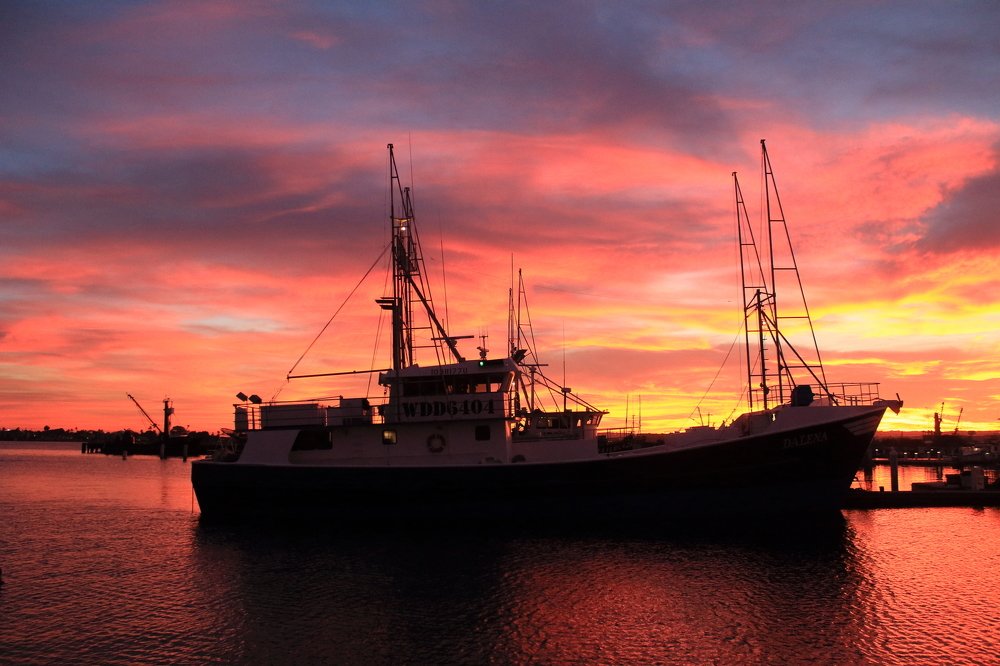 Фотография автора Karina Pampo