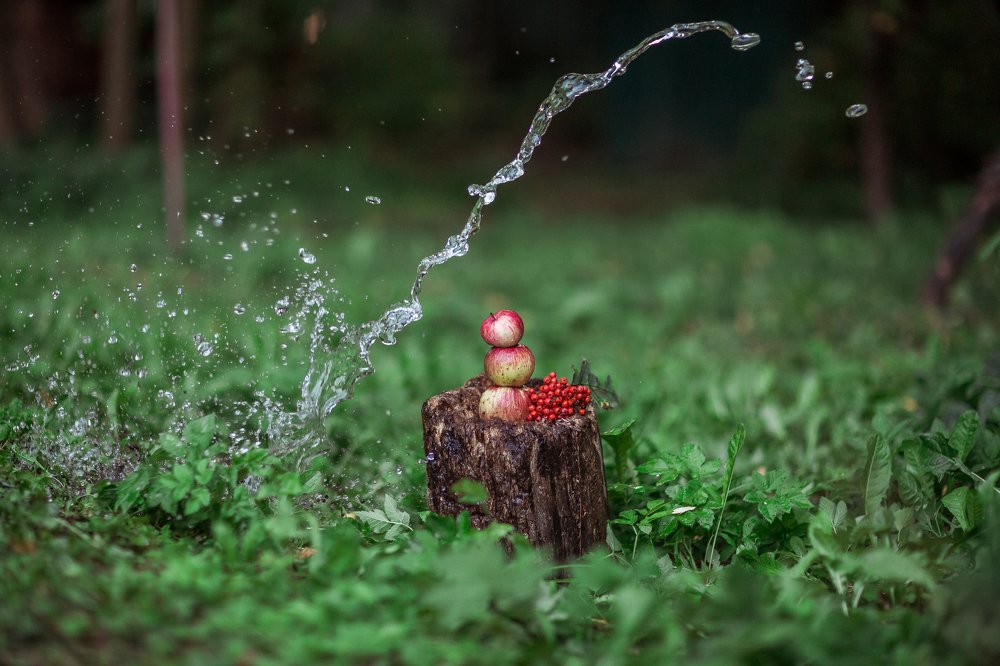 Photograph by Светлана Демина