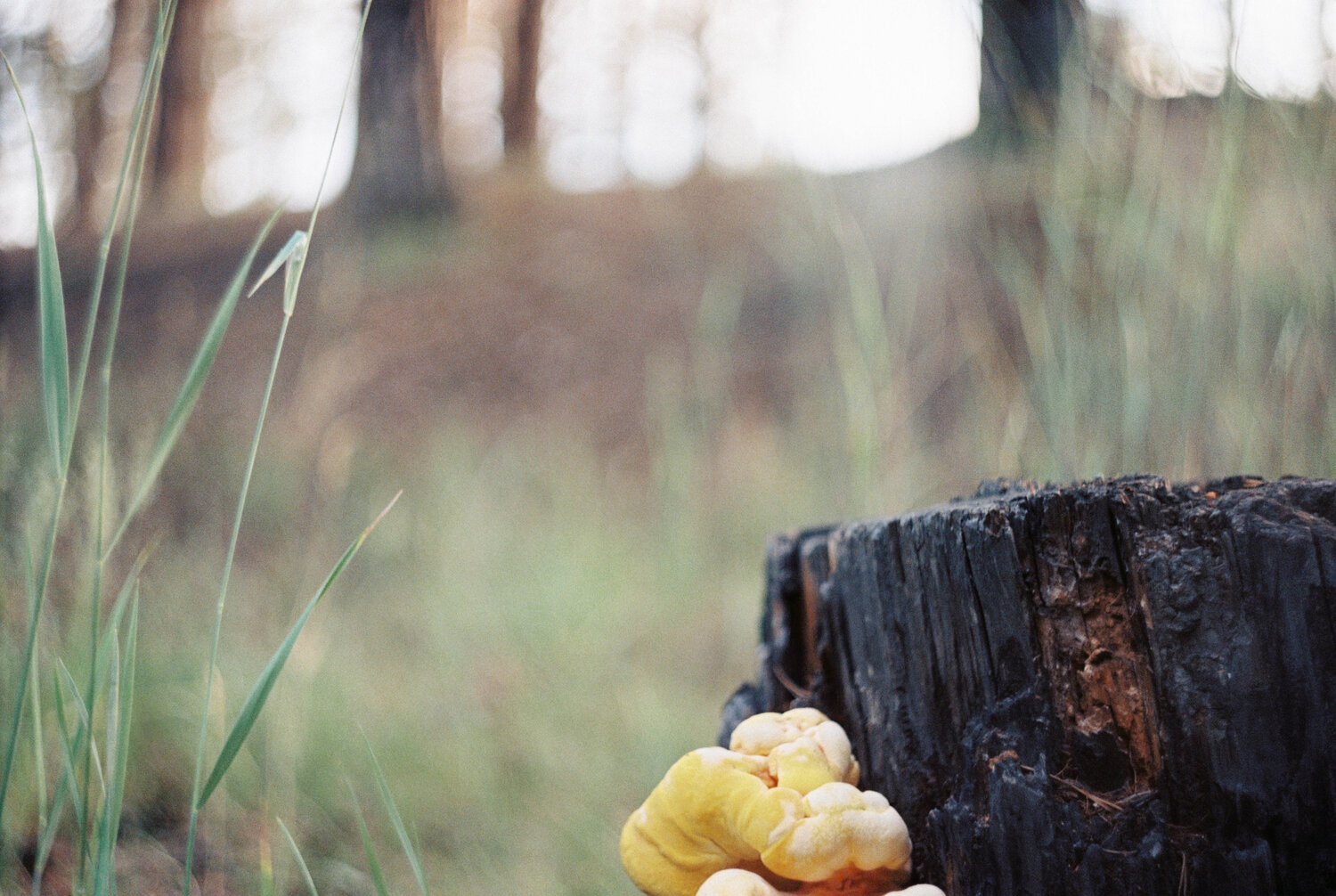 Photo #3585447