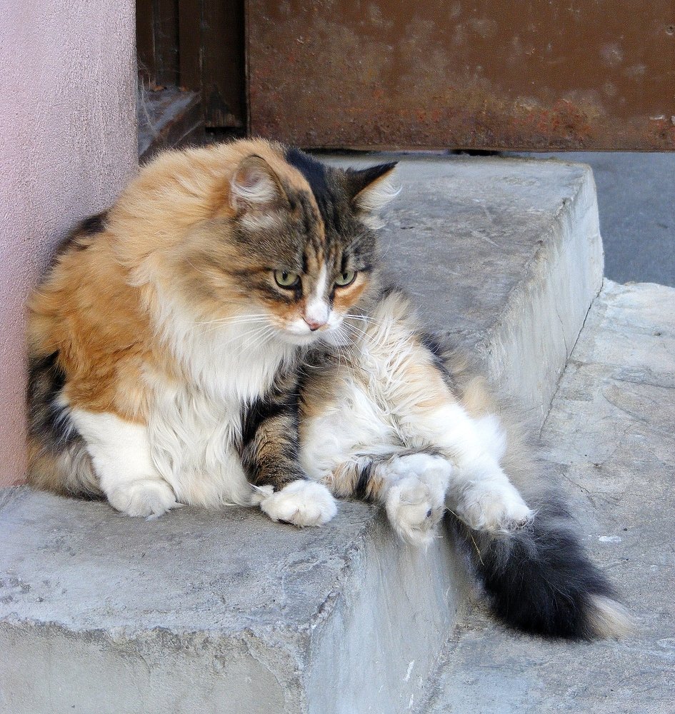 Photograph by Pjotr Alekseev