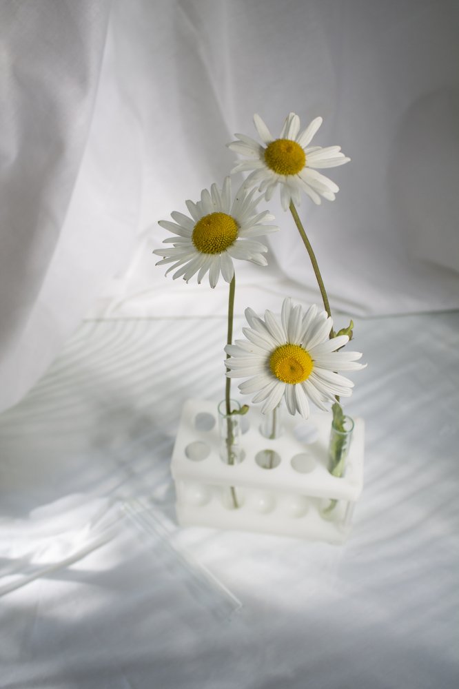 Photograph by Елена