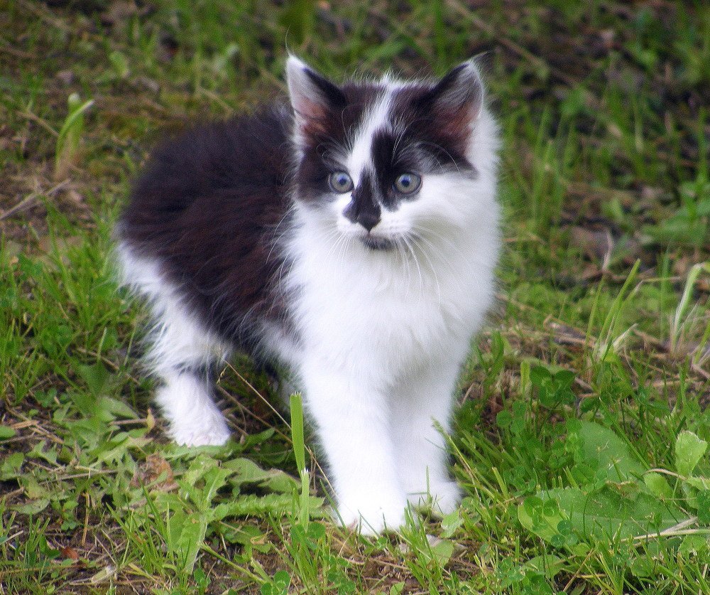 Photograph by Pjotr Alekseev