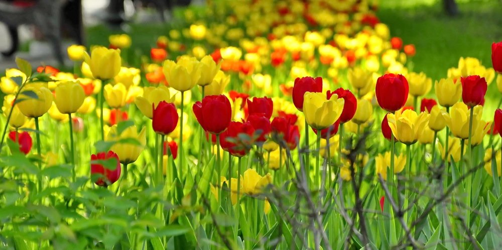 Photograph by НИНА АВЕРЬЯНОВА