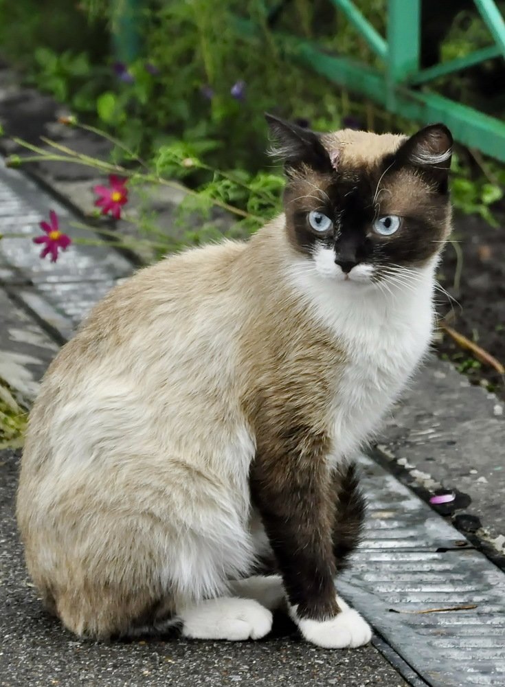 Photograph by НИНА АВЕРЬЯНОВА