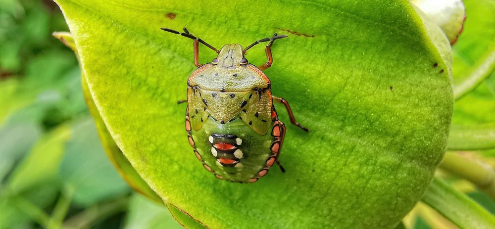 Photograph by Andrea Gal