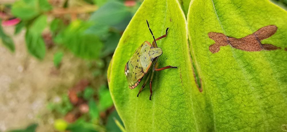 Photograph by Andrea Gal