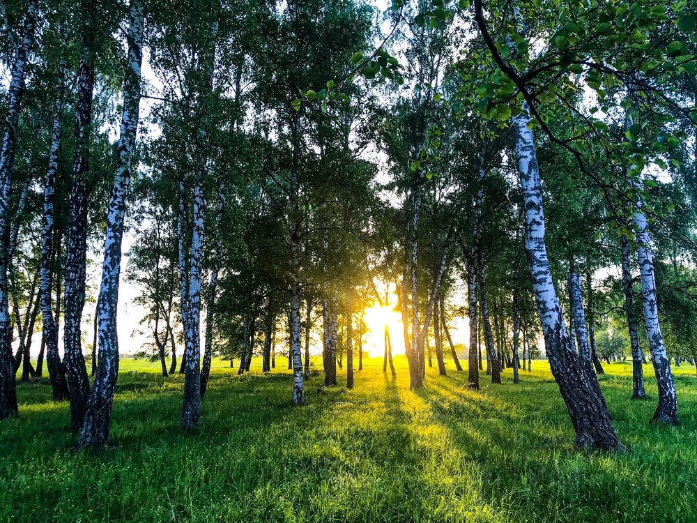 Photograph by Яна Лугинина