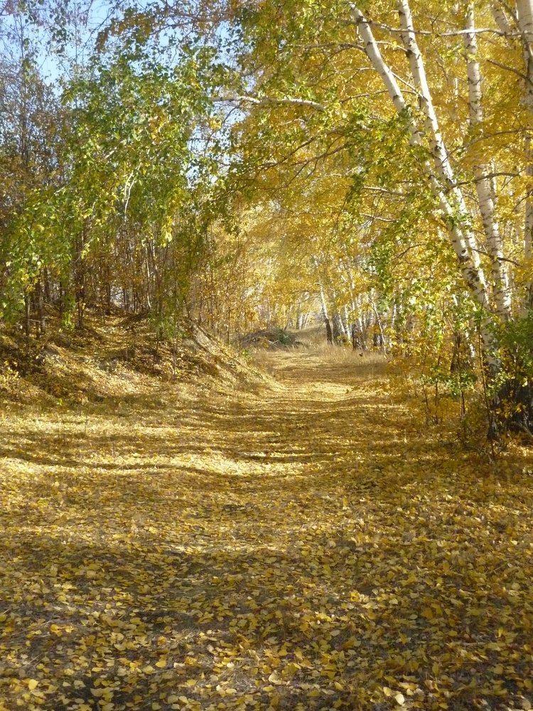 Photograph by Ольга