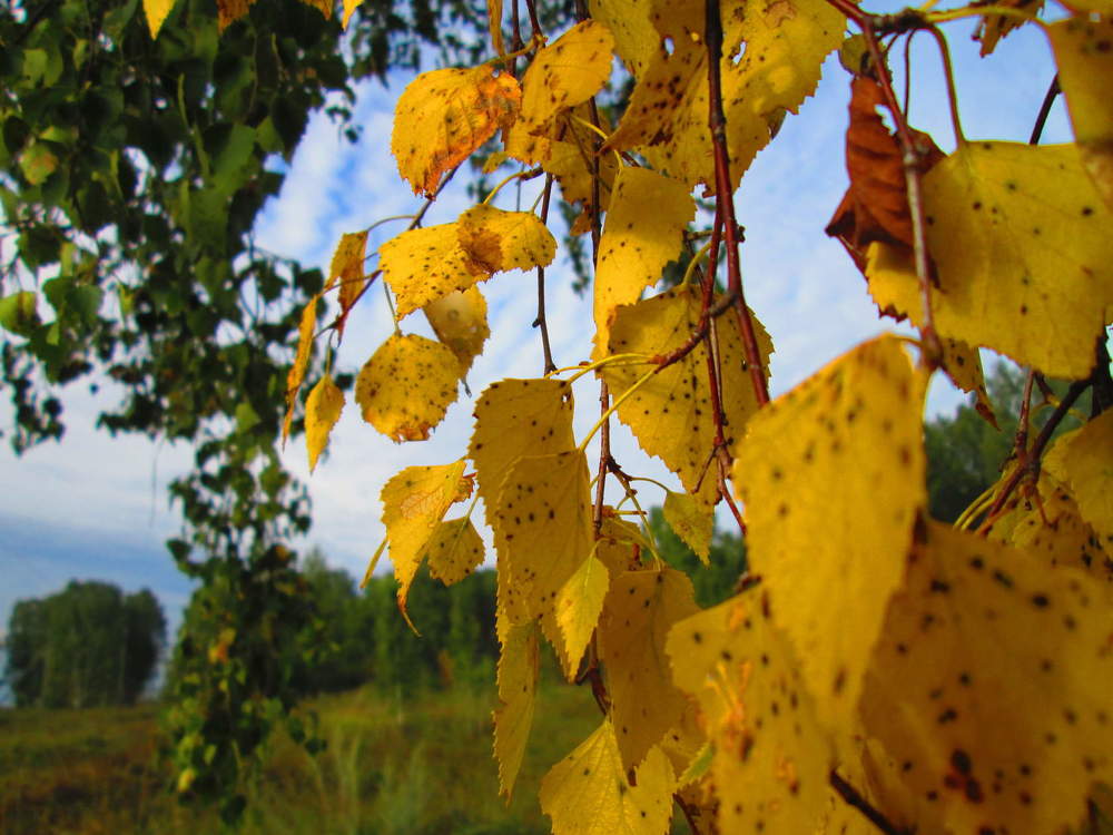 Photograph by Ольга