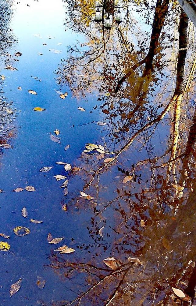 Photograph by Людмила Гончарова