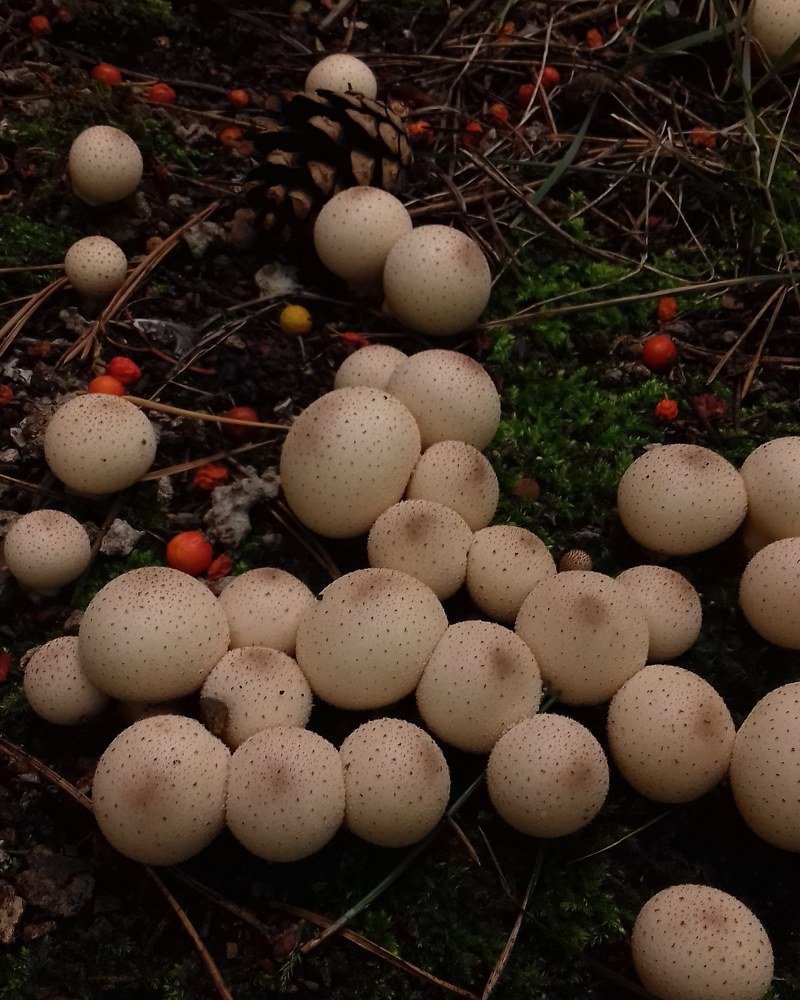 Photograph by Наиля Ахтямова