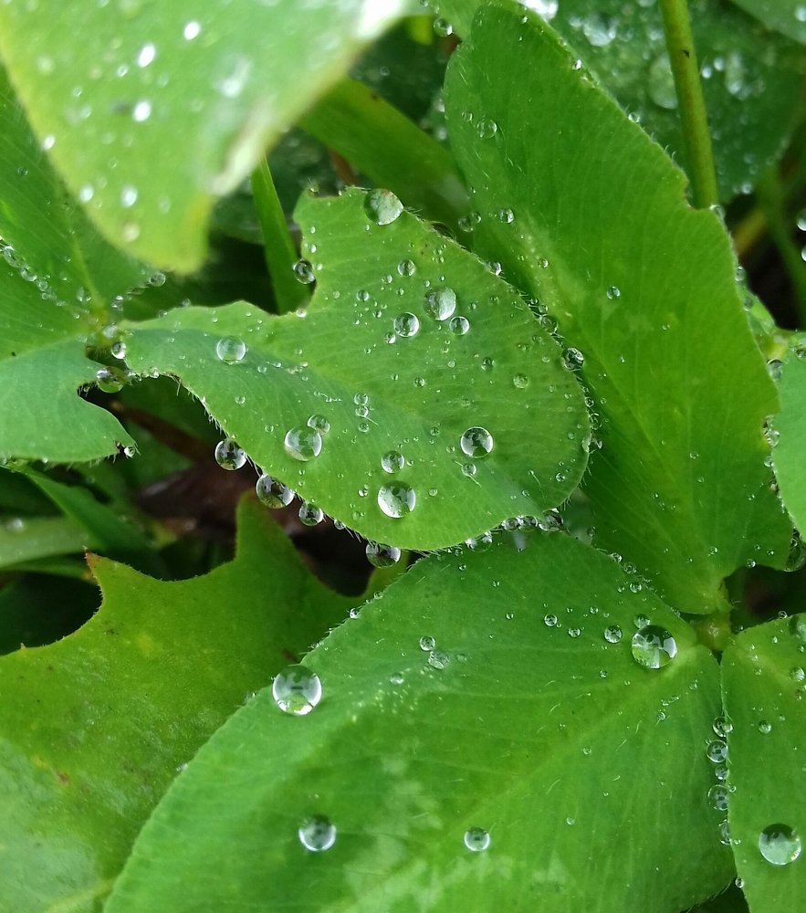 Photograph by Наиля Ахтямова