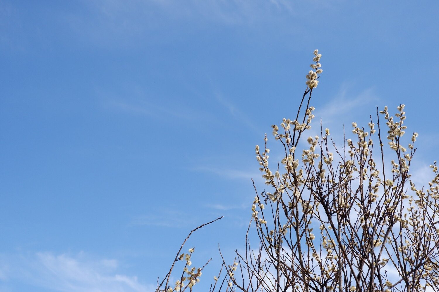 Photo #3585612