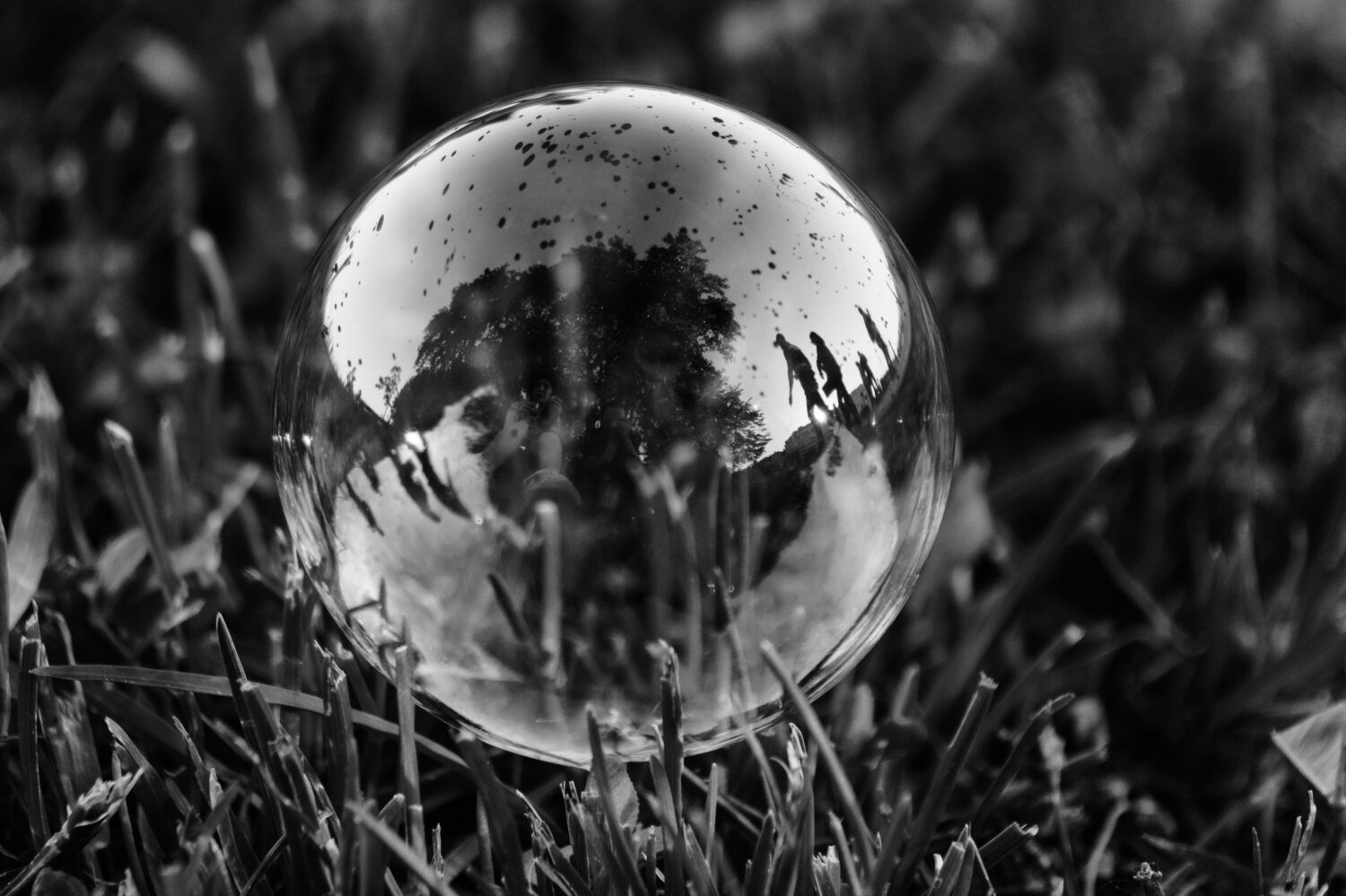 Photo #3585622