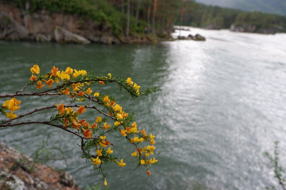 Photograph by Анастасия Порошина
