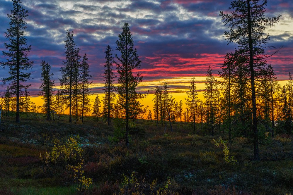Закат в тундре.