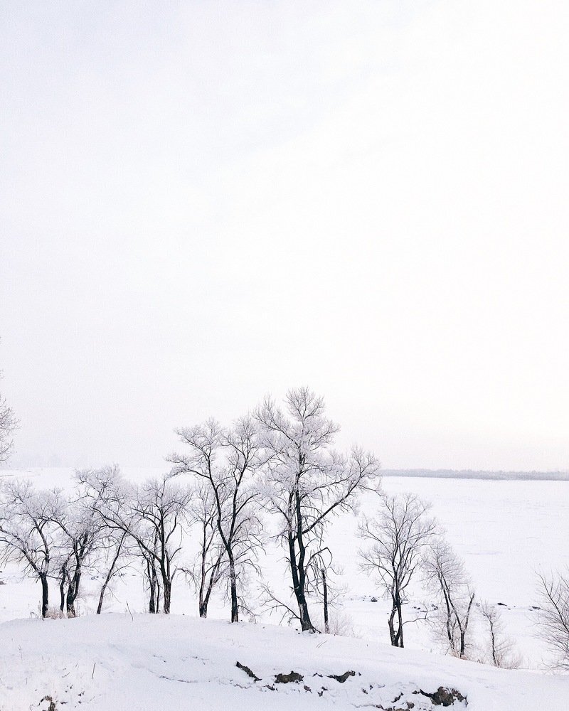 Photograph by Александра Шампорова