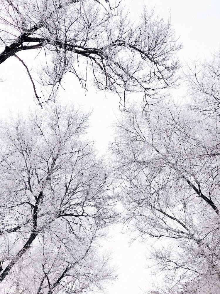 Photograph by Александра Шампорова