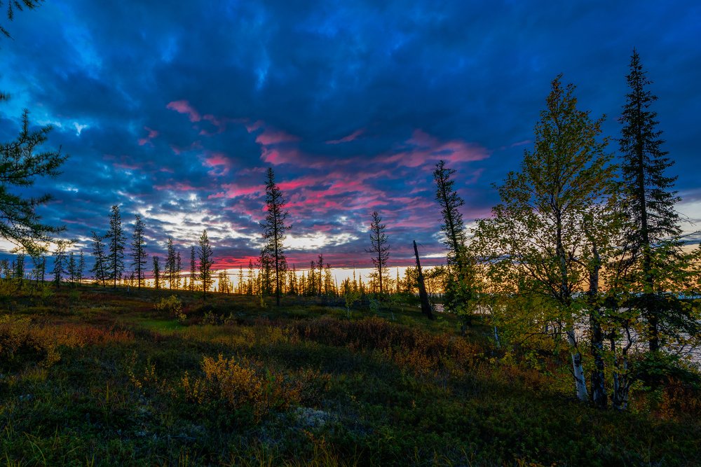 Осенняя тундра