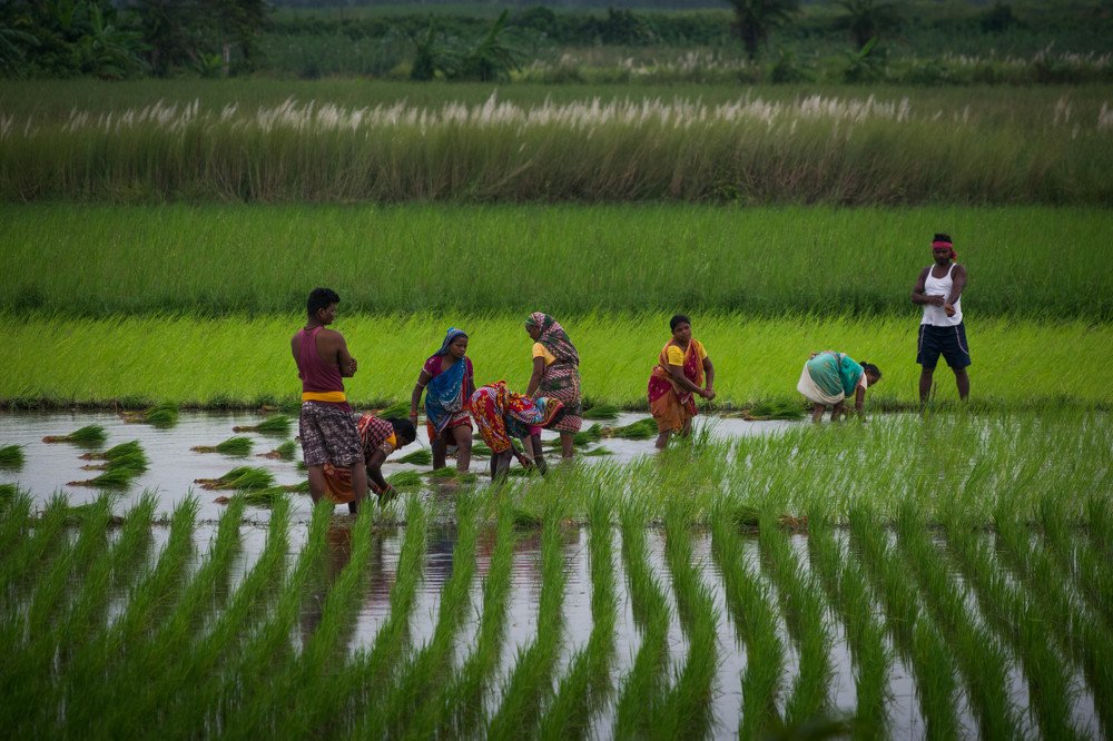 Photograph by Ananta Ojha