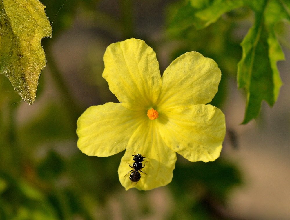 Photograph by Debarshi B