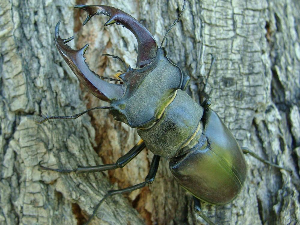 Фотография автора Павел Попов