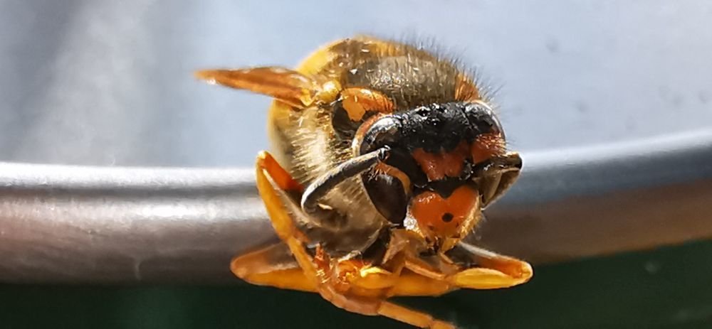 Photograph by Andrea Gal